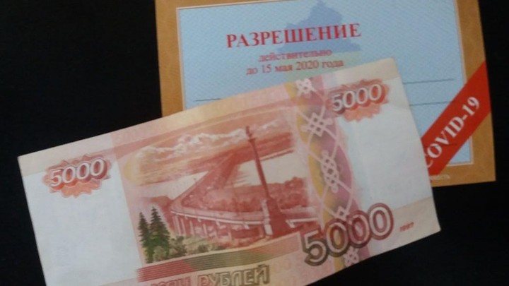 «Нужен новый пропуск? Нет проблем!»: Ростов накрыла вторая волна нелегальной продажи спецбланков