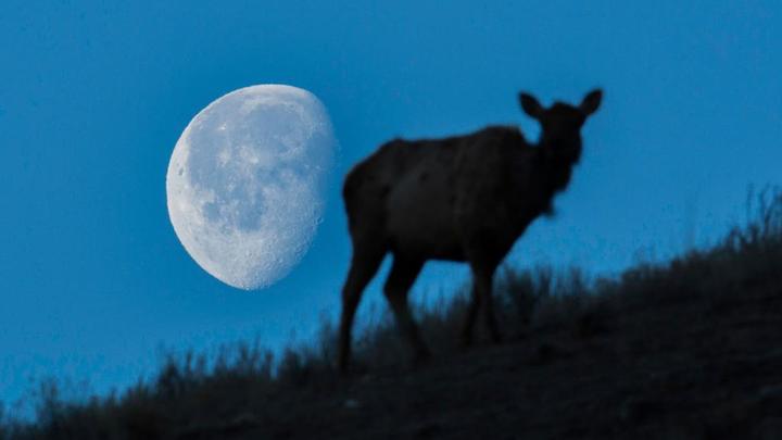 Начнётся 25 октября. Русских предупредили о редком явлении