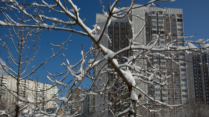 Снегопад - только начало. Погода готовит москвичам новый сюрприз