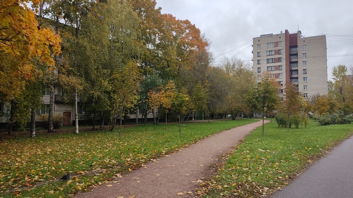 В Новосибирской области назвали объекты благоустройства по нацпроекту в 2024 году