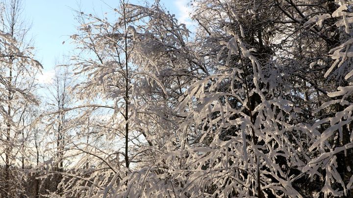 В Свердловской области после мощных снегопадов ударит 20-градусный мороз