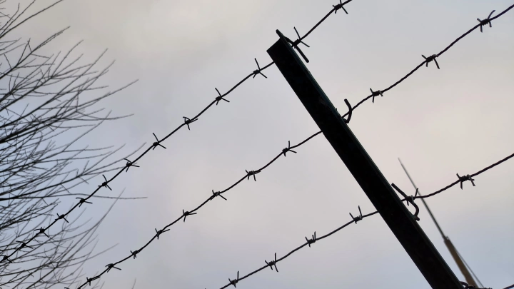 Украинцы платят аферистам за перевозку в Британию своих детей