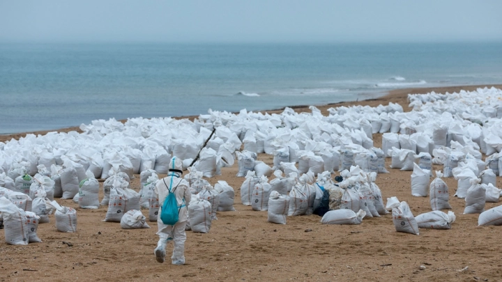 Берег Чёрного моря станет неузнаваемым: Учёный РАН оценил последствия вывоза песка с мазутом