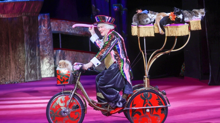 Уронился: Захарова ответила мемом на санкции Зеленского против Куклачёва