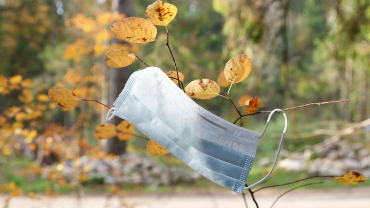 За прошедшие сутки коронавирус диагностировали у восьми запорожцев