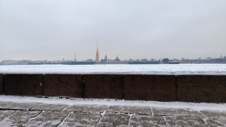 Мертвый младенец, туча ворон и перцовка за громкую музыку: главное к утру 20 февраля