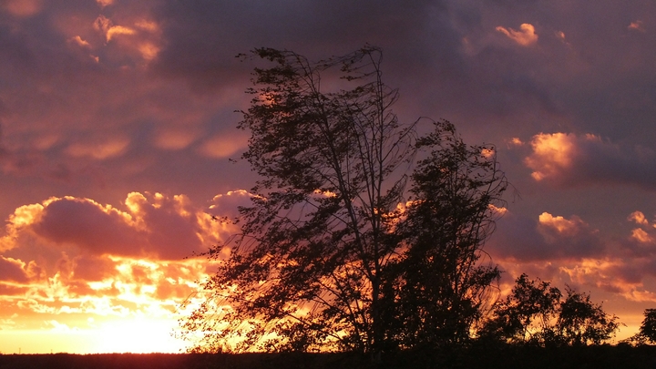 Мир не будет прежним: стало известно предсказание пророка Исайи о конце света