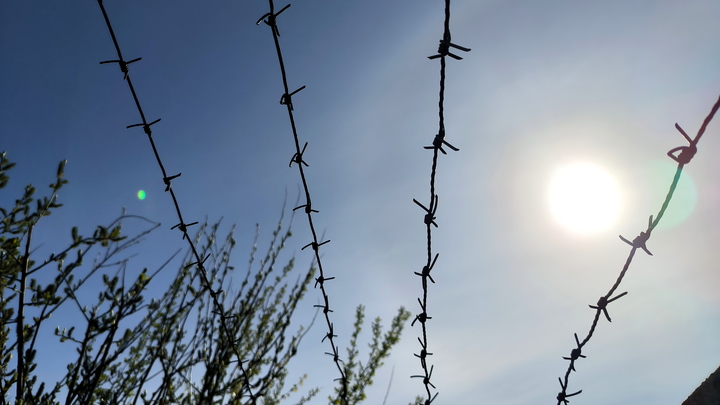 В Сочи арестовали пьяного мужчину, который выкрикивал экстремистские лозунги