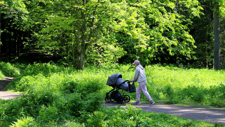 В Подмосковье семья 11 лет воспитывала чужого ребенка из-за ошибки в роддоме