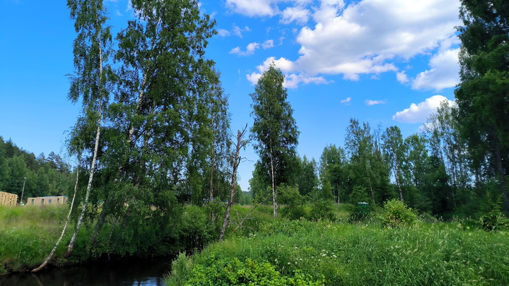 Петровское заговенье 2024: что за праздник, как подготовиться к посту