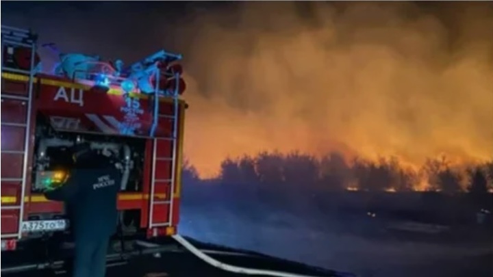 Угонщику, устроившему крупный лесной пожар в Ростовской области, грозит срок и штраф в 3 млн рублей