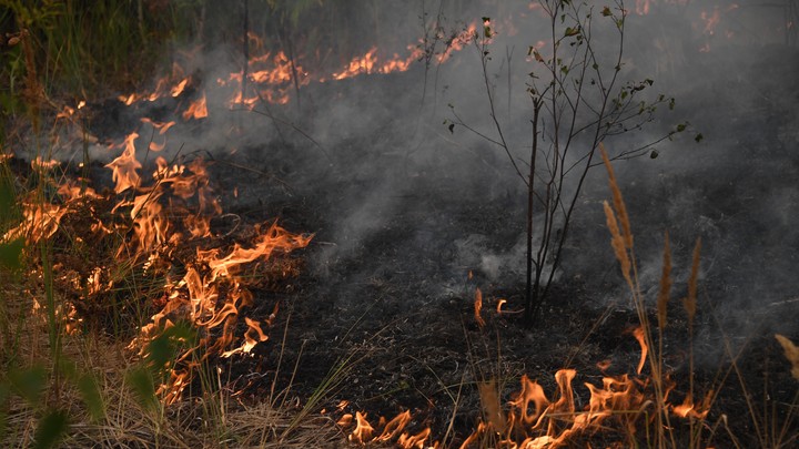 На Кубани продлено предупреждение по пожароопасности