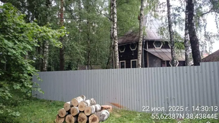 Работы по очистке леса от упавших деревьев успешно проходят в Раменском округе