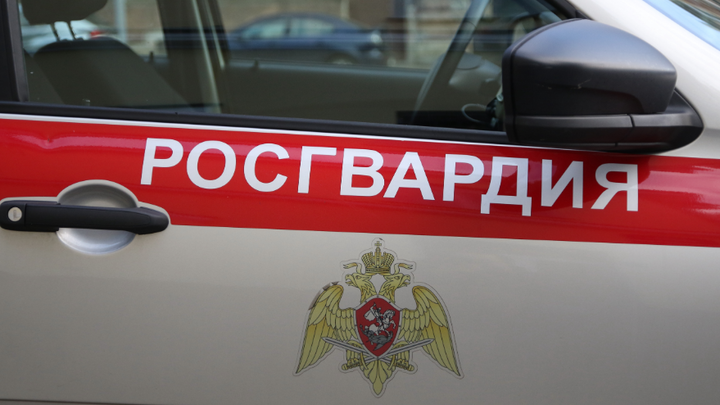 В Самаре магазинный воришка за нападение на росгвардейца получил срок