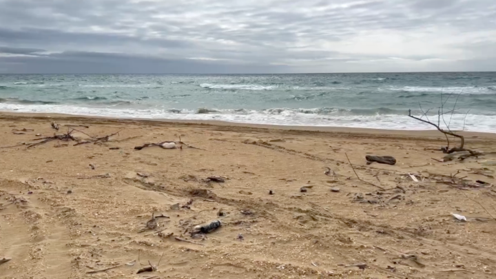 В Анапе скучный субботник превратили в соревнования по сбору мусора с призами