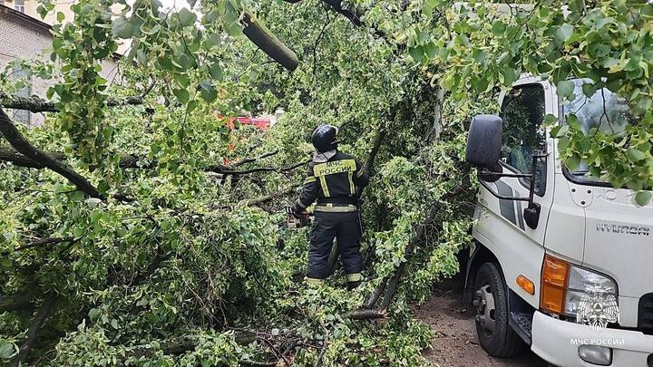 Администрации петербургских районов помогут семьям погибших во время урагана
