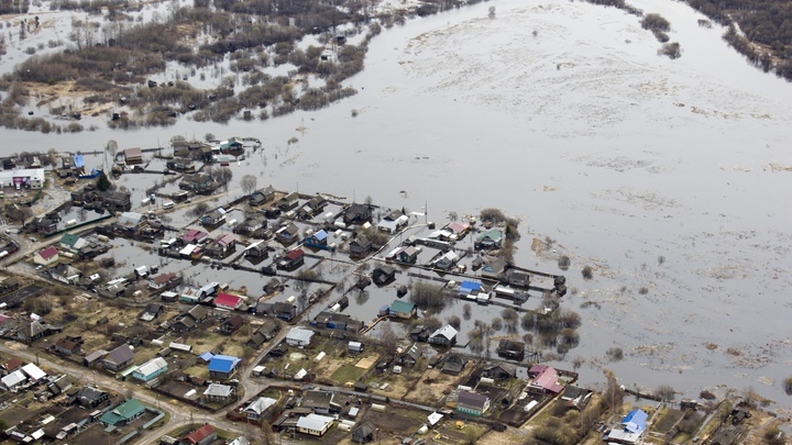 Паводок отступает: в Нижегородской области освободились от воды 60 садов