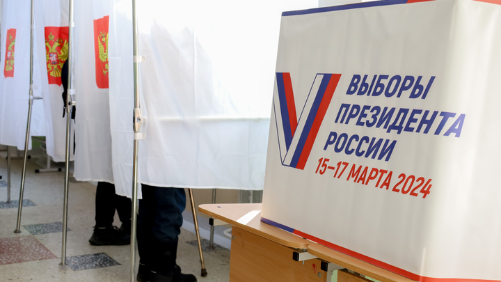 Чебурашка, робот и человек-паук: самые необычные избиратели на выборах Президента 2024