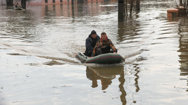 Скотомогильники в Казахстане несут опасность для России? Ситуацию с паводками контролируют власти