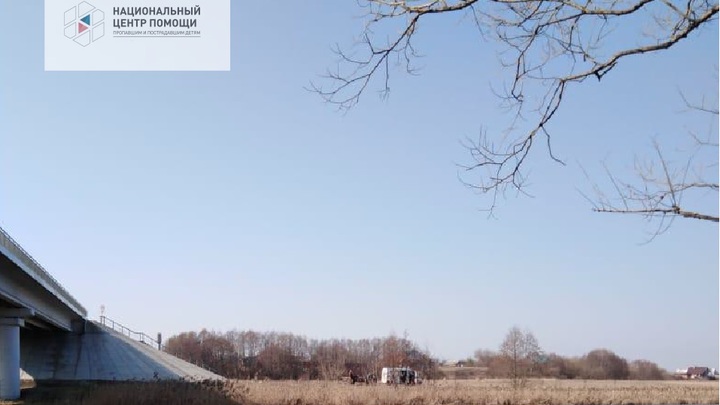 Преследует какая-то машина: Подруга пропавшей под Тамбовом Лизы рассказала о её последнем звонке