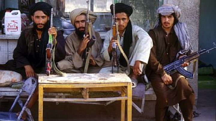 Заработать есть на чём: Эксперт предложил Талибану* заменить мак на шафран