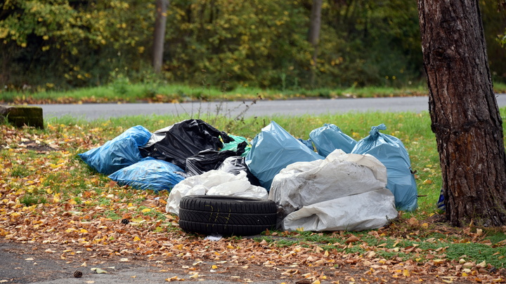 Кто будет вывозить мусор: Новосибирский регоператор расторг контракты с двумя перевозчиками