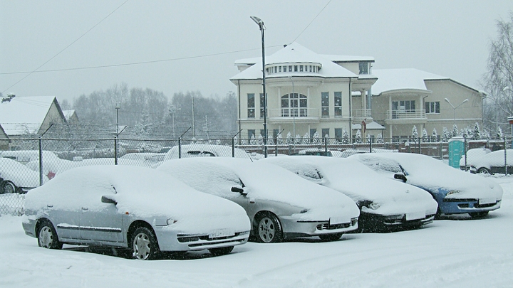 Зимняя погода придет в Подмосковье с 1 декабря