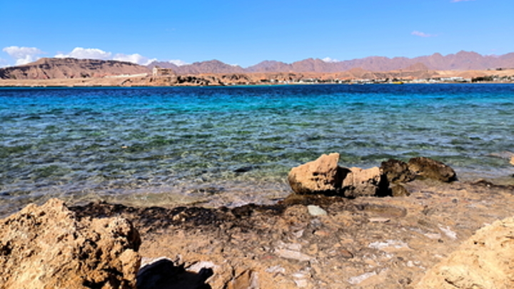 Sacramento Bee: в Калифорнии из океана вынесло череп выше человеческого роста