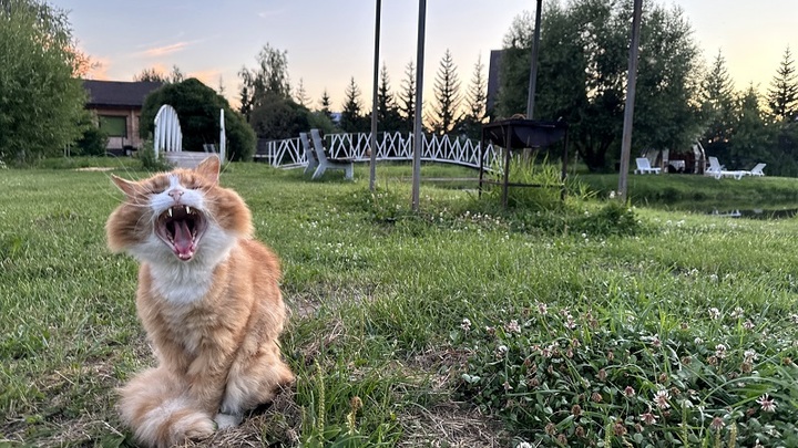 Синоптики обещают нижегородцам тёплый и солнечный август