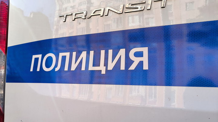 Вандал атаковал Аничков дворец: задержан мигрант за порчу памятника