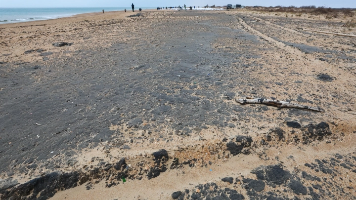 Разлив мазута в Чёрном море: последствия, сроки ликвидации, угрозы другим странам