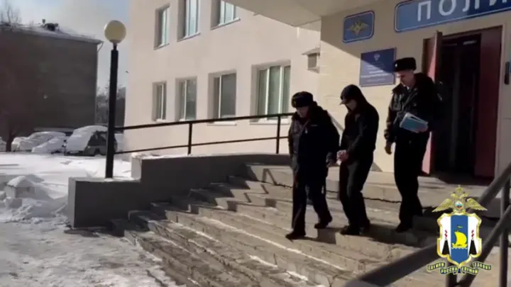 На Сахалине сбившего женщину с ребёнком мигранта заключили под стражу