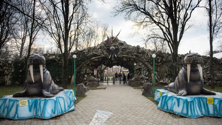 Землю Сафари-парка вернут в собственность Краснодара: Появились подробности мирового соглашения