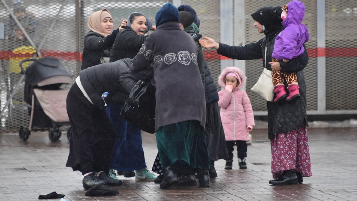 Цыгане напали на семью бойца СВО: Теперь верхушка диаспоры пытается откупиться