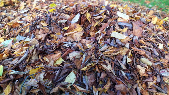 На общегородском субботнике жители Владимира собрали 400 тонн мусора