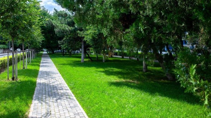 В Краснодаре в 2024 году благоустроят сквер Флагманский