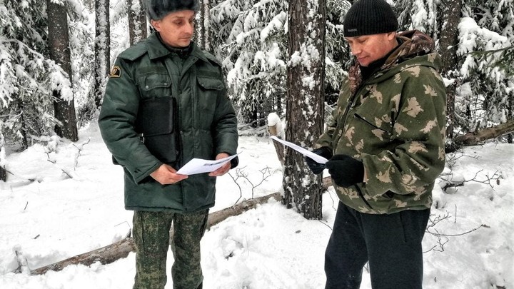 Жителям Подмосковья разъяснили, что такое валежник и где его можно собирать
