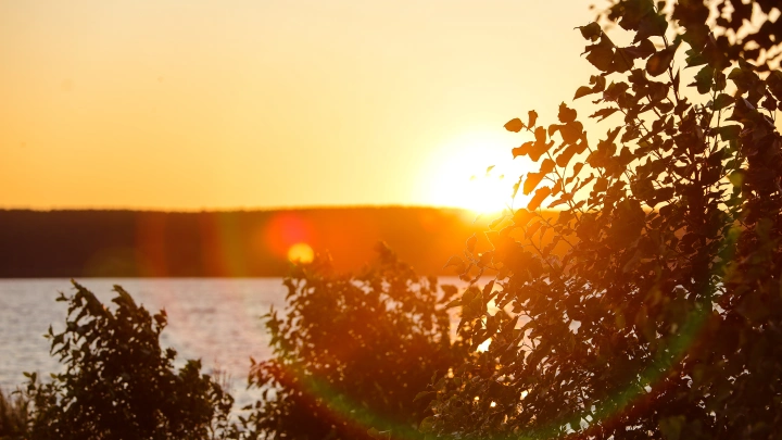 Как пережить жару без кондиционера: Уловки, советы, правила от врача