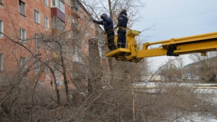 В Кургане уберут 150 аварийных деревьев и вывезут на Шуховский полигон ТБО