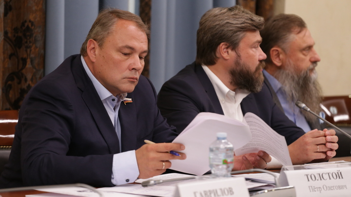 Мигрантов-преступников должны высылать из России в 24 часа - Толстой