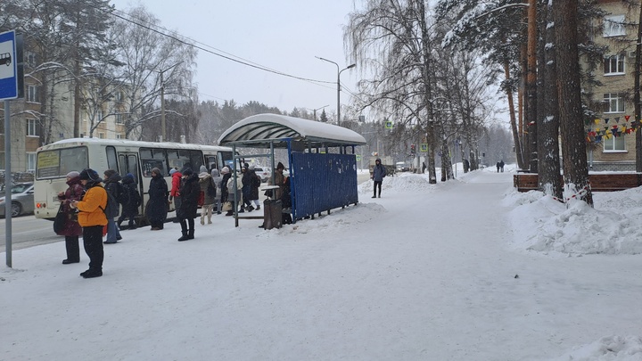 В Новосибирске собираются отменить маршрутки до Академгородка