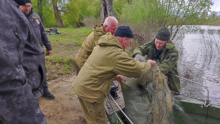 В период нерестового запрета на самарских водоемах ежедневно ловят браконьеров