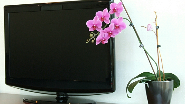 Жители Херсонщины получат доступ к бесплатному спутниковому ТВ