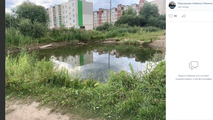В Собинке в пруду утонул пятилетний ребенок
