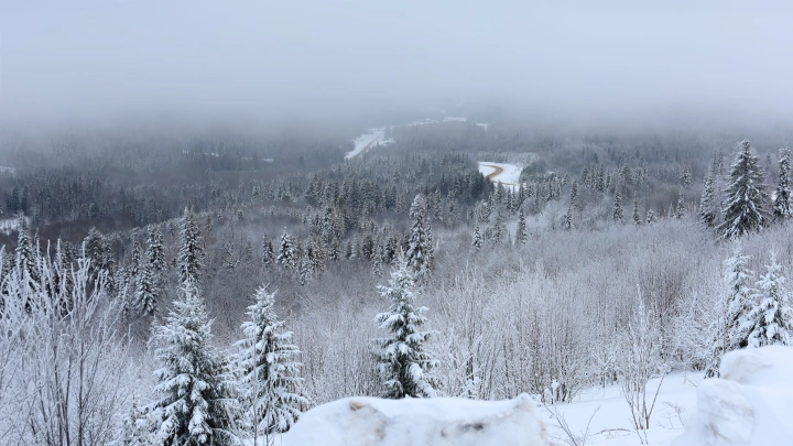 Я не верю: Коллега Усольцева опровергла версию о побеге семьи за границу