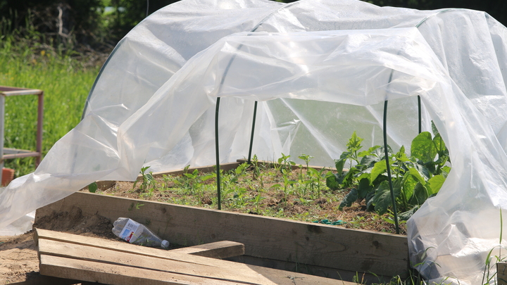 Кубанский фермер незаконно получил субсидию почти на 700 тыс. рублей