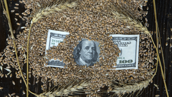 Что такое зерновая сделка и какое участие в ней принимает Россия