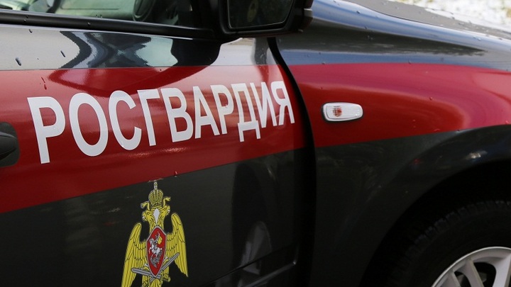 Что, опять? В Ростове-на-Дону экстренно эвакуировали школу олимпийского резерва