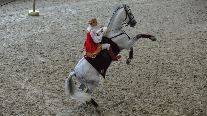 Спортсменку сборной России по конному спорту из Краснодарского края придавила лошадь