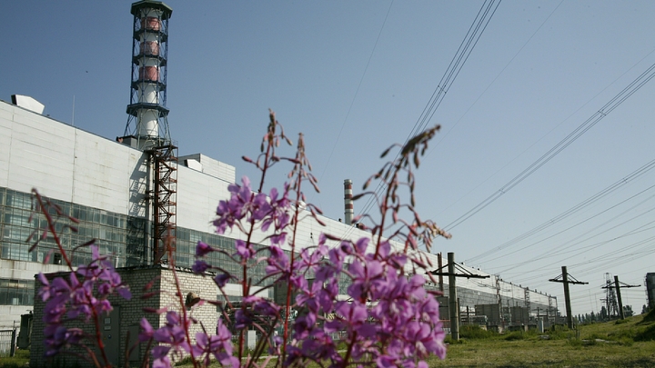 Замглавы МАГАТЭ признал, что Россия занимает первое место в мире по развитию атомной энергетики